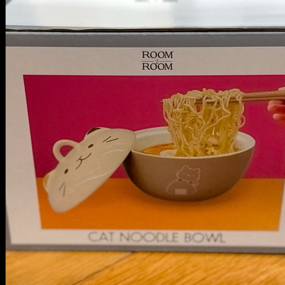 [NEW WITH BOX] CAT DESIGN BOWL WITH LID AND CHOPSTICKS - Picture 6 of 7